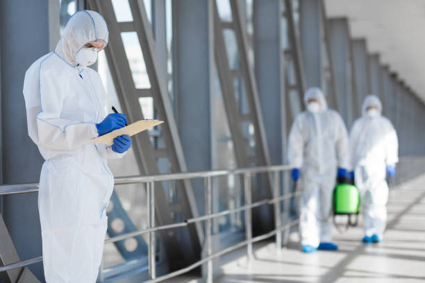 Best Attic Mold Removal  in Desloge, MO