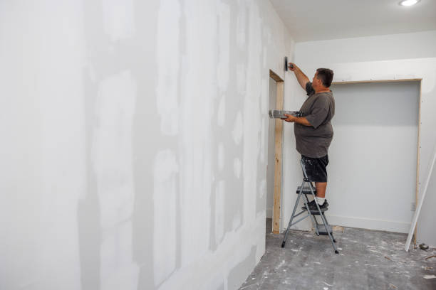 Best Real Estate Mold Inspection  in Desloge, MO