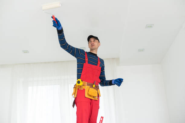 Professional Mold Removal in Desloge, MO