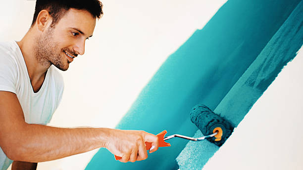 Best Mold Documentation for Insurance Claims  in Desloge, MO